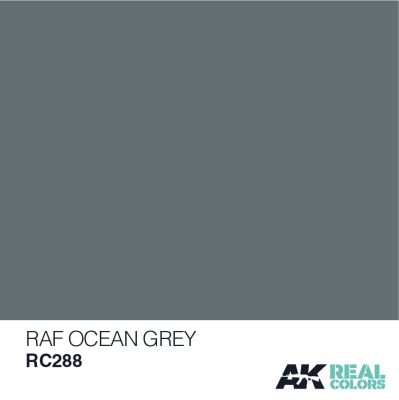 RAF Ocean Grey / Океанічний сірий детальное изображение Real Colors Краски