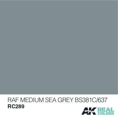RAF Medium Sea Grey BS381C/637 / Средний морской серый детальное изображение Real Colors Краски