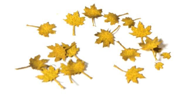Maple autumn 1:35  / Осенние листья клена детальное изображение Наборы деталировки Диорамы