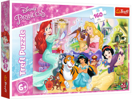 обзорное фото Puzzle Princesses and Friends 160pcs 160 items