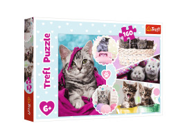 обзорное фото Puzzle Cute kittens 160pcs 160 items