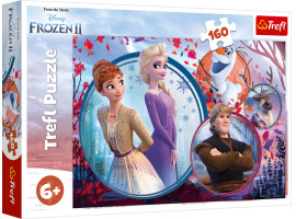 обзорное фото Puzzle Adventure sisters: Frozen 160pcs 160 items
