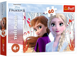 обзорное фото Puzzles Magic world of Anna and Elsa 60pcs 60 items