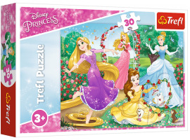 обзорное фото Puzzle Be a princess 30pcs 30 items