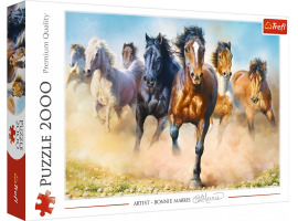 обзорное фото Puzzle Herd of horses 2000pcs 2000 items