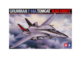 обзорное фото Сборная модель 1/32  Самолет GRUMMAN F-14A TOMCAT BLACK KNIGHTS Тамия 60313 Самолеты 1/32