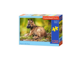 обзорное фото Puzzle "Puppy in the forest" 120 pieces 120 items