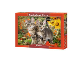 обзорное фото Puzzle Kittens 1500 pieces 1500 items