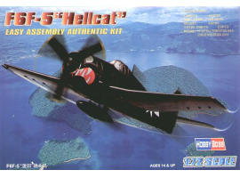 Buildable model of the F6F-5 "Hellcat" fighter