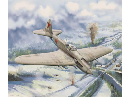 Buildable model  IL-2 Ground attack aircraft