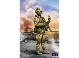 обзорное фото Украинский солдат, Оборона Киева, март 2022 г. Фигуры 1/24