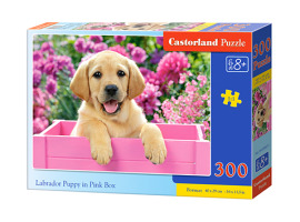 обзорное фото Puzzle "LABRADOR PUPPY IN PINK BOX" 300 pieces 300 items