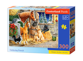 обзорное фото Puzzle "GATHERING FRIENDS" 300 pieces 300 items