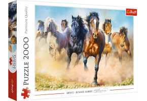 Puzzle Herd of horses 2000pcs