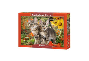 Puzzle Kittens 1500 pieces