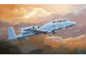 Buildable model of the N/AW A-10A THUNDERBOLT II fighter