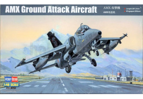Buildable model AMX Ground Attack Aircraft