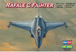 Buildable model of the Rafale C Fighter