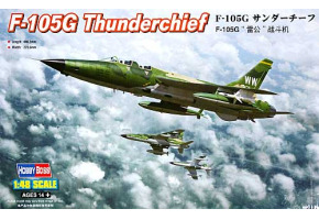 Buildable model of the American F-105G Thunderchief fighter