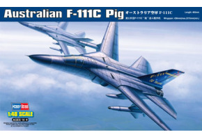 Buildable model Australian F-111C Pig bomber