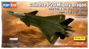Buildable model of the Chinese aircraft J-20 Mighty Dragon