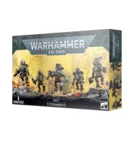 обзорное фото ORKS: STORMBOYZ Орки