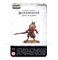 обзорное фото BLOODMASTER HERALD OF KHORNE Послідовники Кхорна