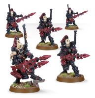 обзорное фото ELDAR DARK REAPERS Ельдари
