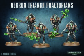обзорное фото NECRON TRIARCH PRAETORIANS Некрони