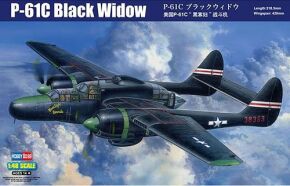 Buildable model US P-61C Black Widow fighter