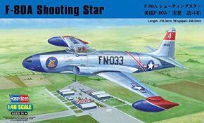 Buildable model of the American F-80A Shooting Star fighter