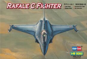Buildable model of the Rafale C Fighter