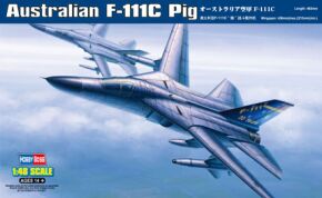 Buildable model Australian F-111C Pig bomber