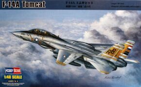 Buildable model of the F-14A Tomcat