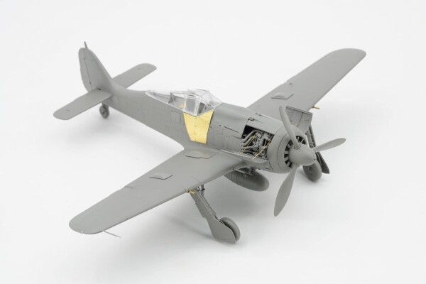 Збірна модель 1/35 Літак Focke-Wulf Fw-190 A-8 R2/6/7/8 (комплект 4 до 1) Border Model BF-009 детальное изображение Самолеты 1/35 Самолеты