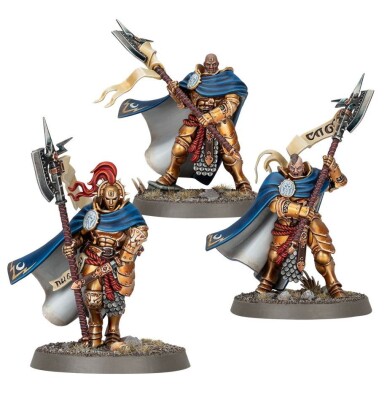 STORMCAST ETERNALS: PRAETORS детальное изображение Вечные Громовержцы Порядок