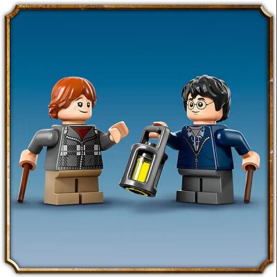 Конструктор LEGO Harry Potter Арагог в Запретном лесу 76434 детальное изображение Harry Potter Lego