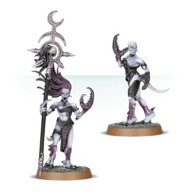 HEDONITES OF SLAANESH: DAEMONETTES детальное изображение Слаанешиты Хаос