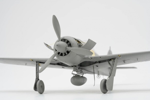 Збірна модель 1/35 Літак Focke-Wulf Fw-190 A-8 R2/6/7/8 (комплект 4 до 1) Border Model BF-009 детальное изображение Самолеты 1/35 Самолеты