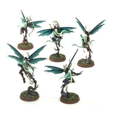 Ігровий набір Warhammer AGE OF SIGMAR - SPEARHEAD - SYLVANETH - SPITEWING FLIGHT детальное изображение Сильванеты Порядок