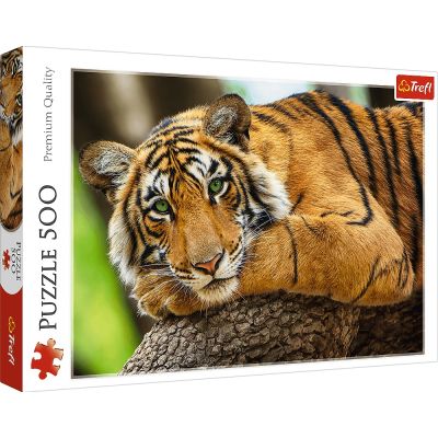 Пазлы Портрет тигра 500шт детальное изображение 500 элементов Пазлы