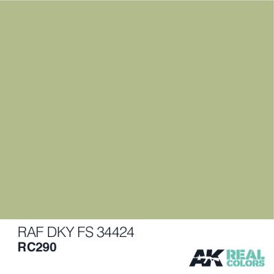 RAF Sky FS 34424 / Небесный детальное изображение Real Colors Краски