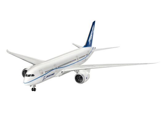Boeing 787-8 'Dreamliner' детальное изображение Самолеты 1/144 Самолеты
