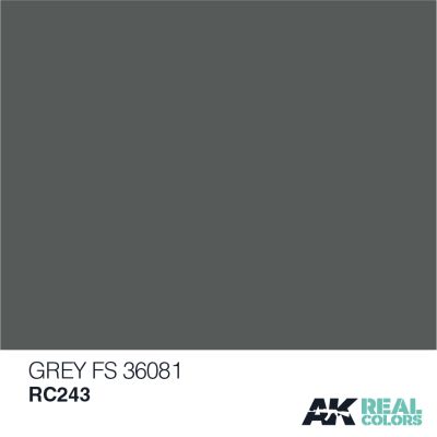 Grey FS 36081 / Серый детальное изображение Real Colors Краски