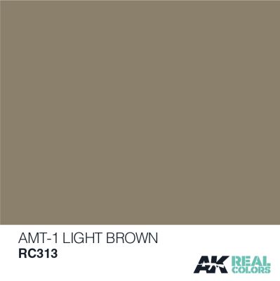 AMT-1 Light Brown / Світло-коричневий детальное изображение Real Colors Краски