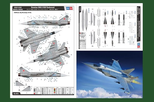 Збірна модель літака MiG-31M Foxhound детальное изображение Самолеты 1/48 Самолеты