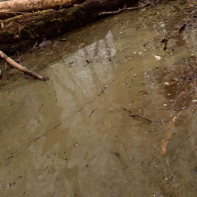 Water Gel Swamp Green 250ml / Коричнево-зеленый плотный гель для имитации болотных вод детальное изображение Материалы для создания Диорамы