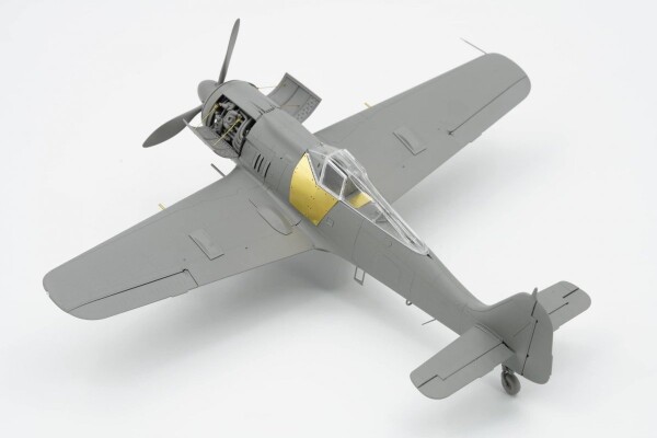 Збірна модель 1/35 Літак Focke-Wulf Fw-190 A-8 R2/6/7/8 (комплект 4 до 1) Border Model BF-009 детальное изображение Самолеты 1/35 Самолеты