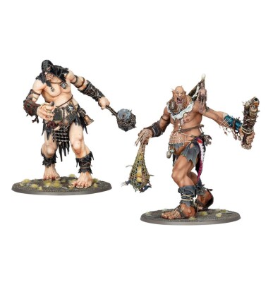 Ігровий набір Warhammer AGE OF SIGMAR - BRAWLERS OF BEHEMAT (ENG) детальное изображение Игровые наборы WARHAMMER Age of Sigmar