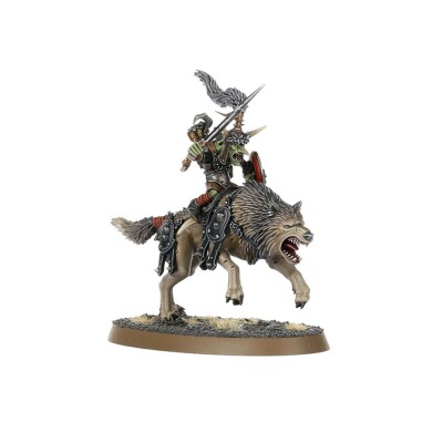 GLOOMSPITE GITZ: SNARLFANG RIDERS детальное изображение Мракобесные Гоблины Разрушение